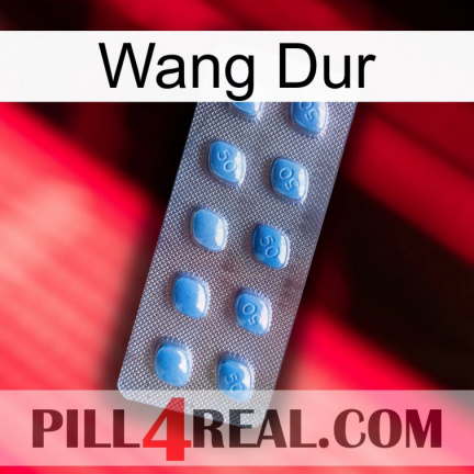Hard Wang viagra3